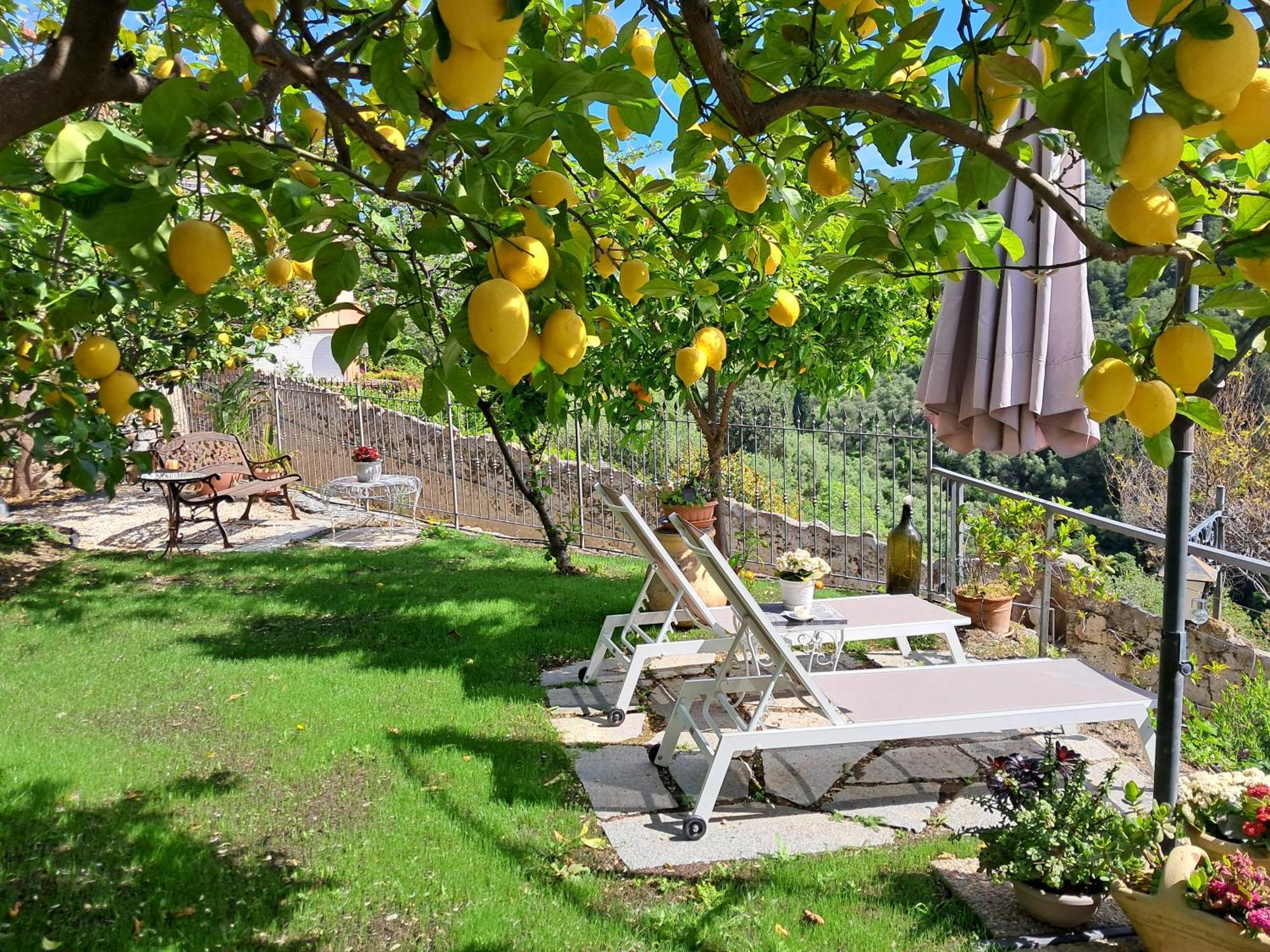 צ'רבו Florinda Lemon'S Suite מראה חיצוני תמונה